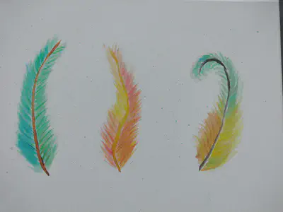 **Three feathers, thats all.**